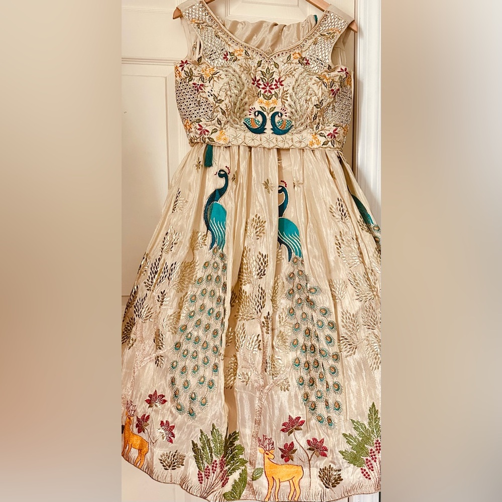 Elegant Cream Shimmery Dress with Peacock Embroidery